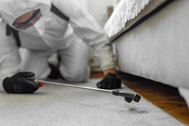 Professional Termite Control technician working in Poughkeepsie, NY