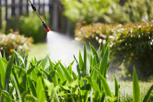 24/7 Emergency Termite Control experts in Poughkeepsie, NY