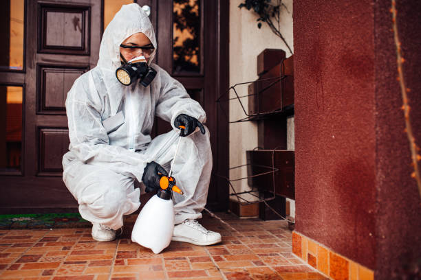 Reliable Termite Control contractor in Poughkeepsie, NY by Nex Pest Control