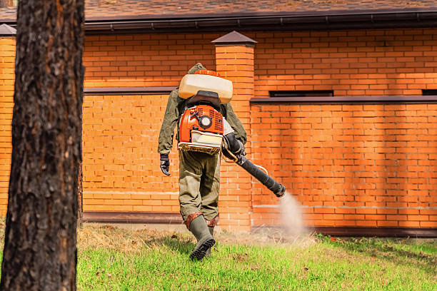 Trusted Rodent Control service in Poughkeepsie, NY - Nex Pest Control